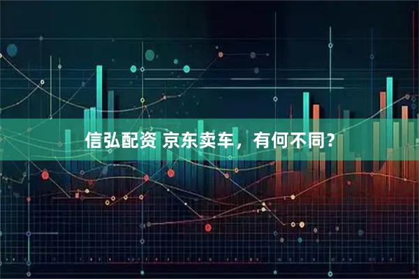 信弘配资 京东卖车，有何不同？